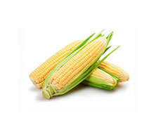 Fresh Vegetables