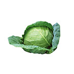 Cabbage