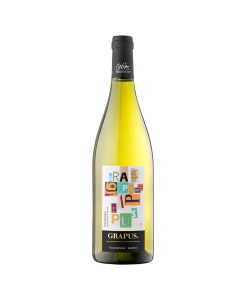 Chardonnay Barrel