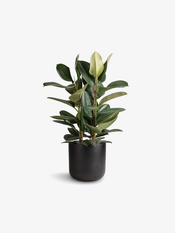 Large Ceramic Porcelain Flower Pot
