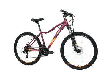 Ford Ranger 14 Inch Mountain Bike
