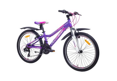 Liv Envie Advanced Tri 2 Framed Bike