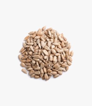 Sunflower Seeds