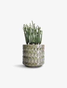 Tied Ribbons Artificial Eucalyptus Gingko Leaves Plants