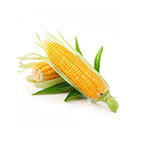 Sweet Corn