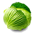 Cabbage