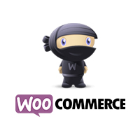 WooCommerce support
